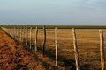 Fence