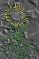 Embossed Sunflower