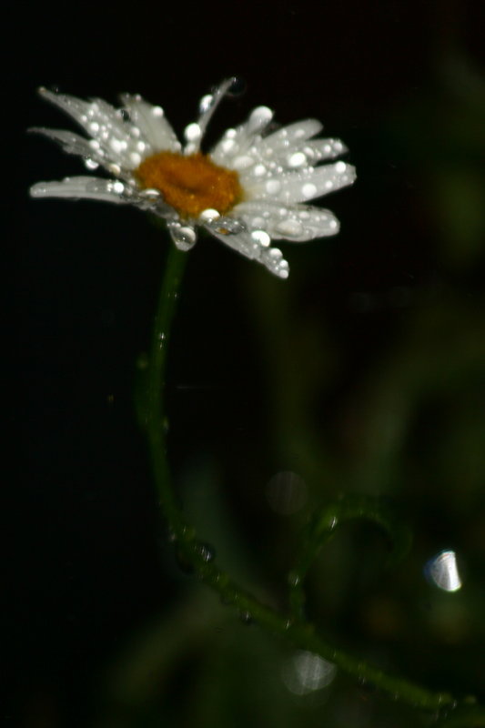 Covered in Water