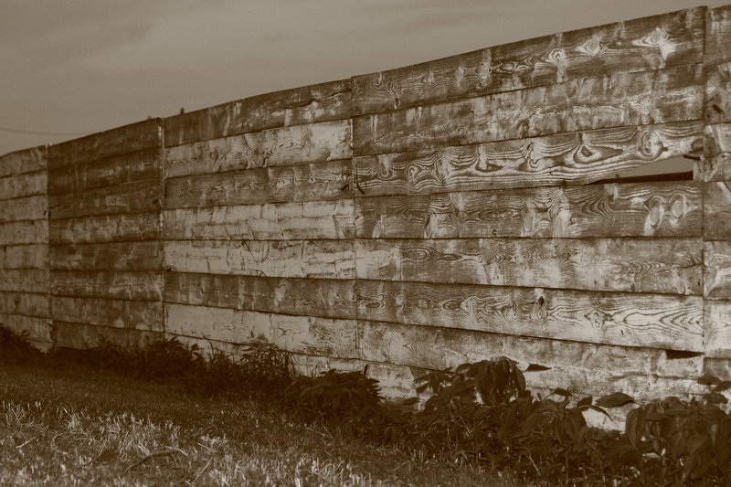 Fence Line