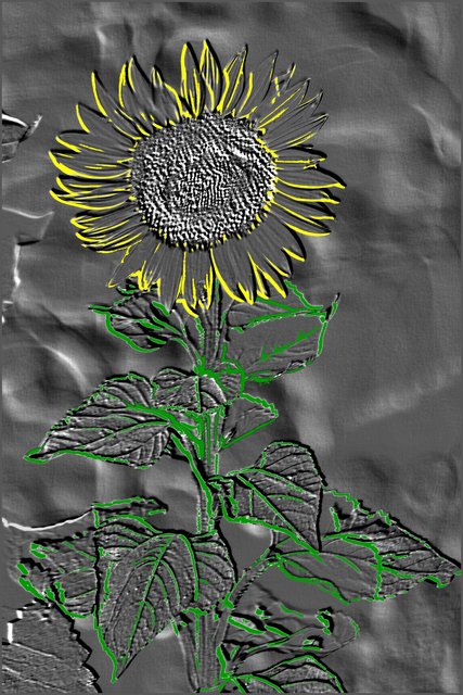 Embossed Sunflower