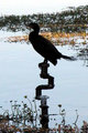 bird-3-ret-for-web.jpg
