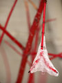 ice-branch-2-for-web.jpg