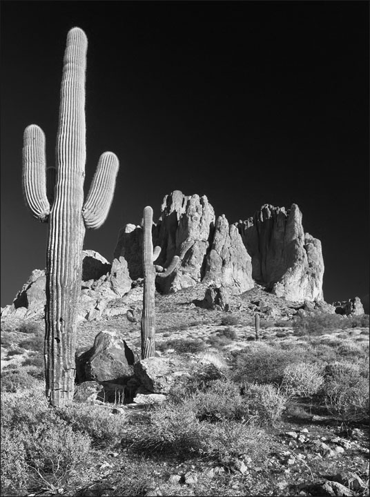ansel_adams_II_alt.jpg