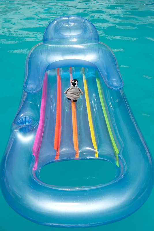 MOP_1036