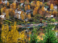 Autumn