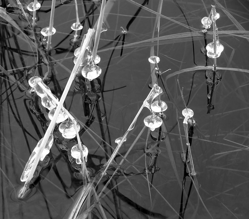 Nature's Crystals