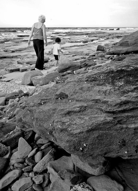 A walk by the sea.jpg