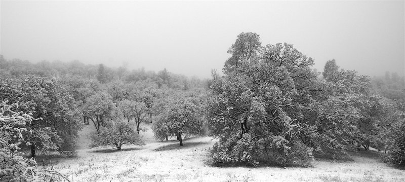 Central California Snow (2006)