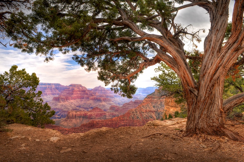 The Grand Canyon (HDR)