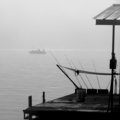 Fishing in the Fog