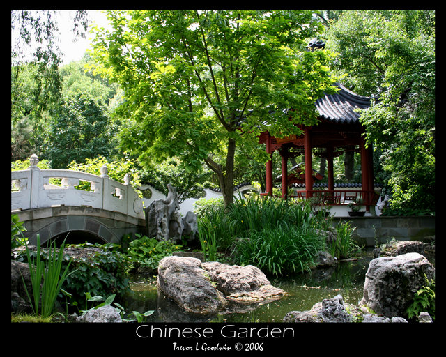 Chinese Garden