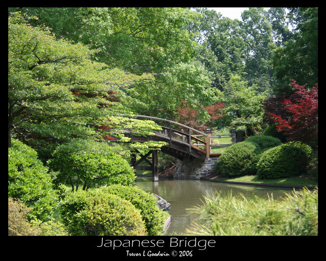 Japanese Bridge