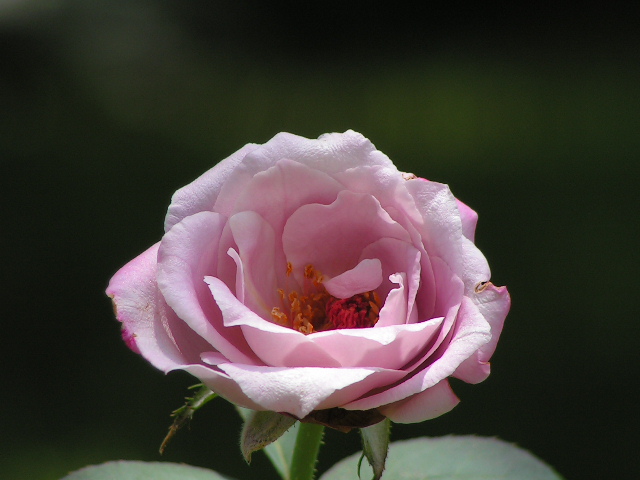 PICT0002.JPG