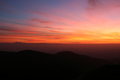 IMG_7785.jpg