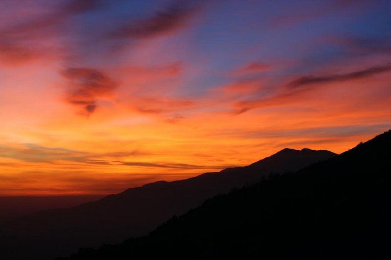 IMG_7787.jpg