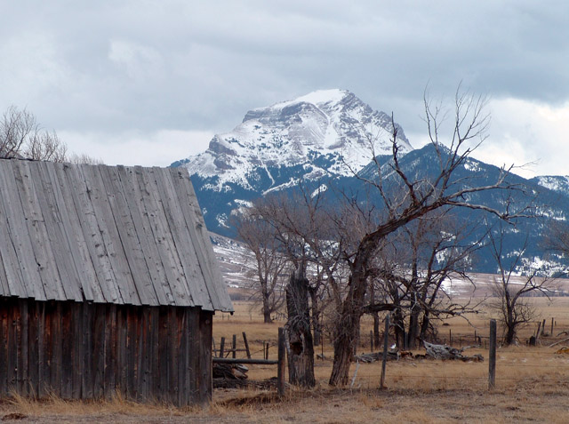 Ennis Shed & Mtn.jpg