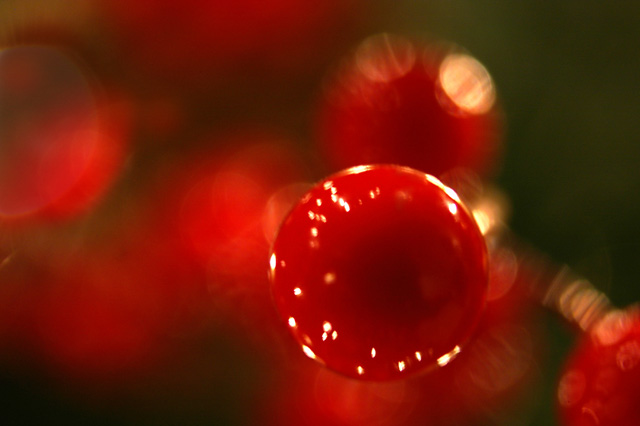 Christmas Ball.jpg