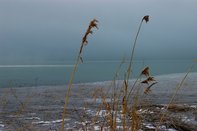 Cold-Foggy-Morning.jpg