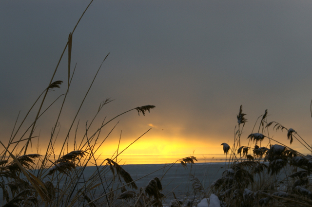 Sun-Through-the-Fog.jpg