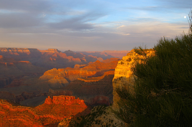 Grand Canyon Colors