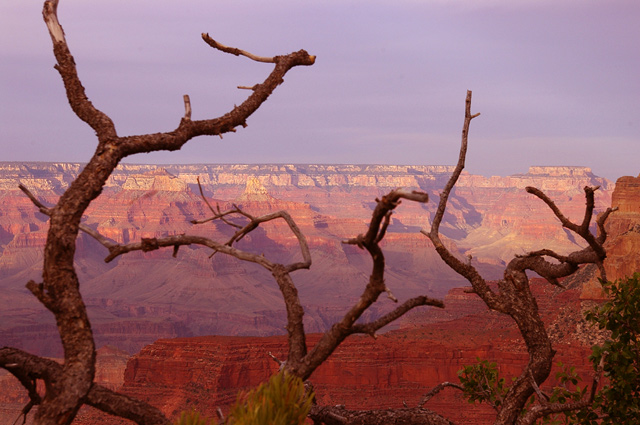 Canyon-Guards