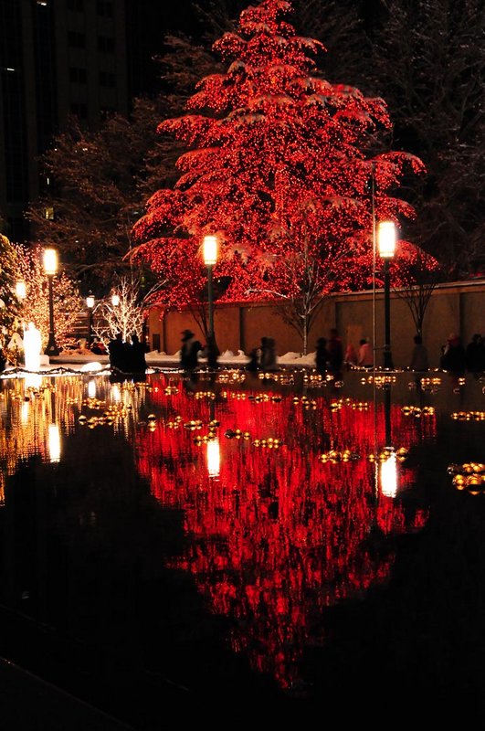 Red Light Reflection
