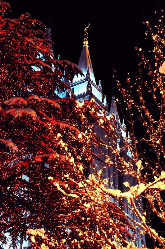 Temple Through Lights