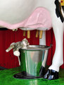 Got Milk?