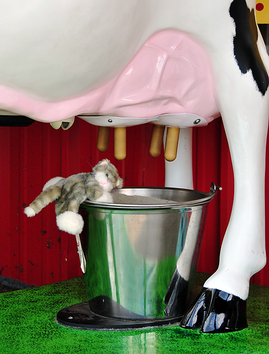 Got Milk?