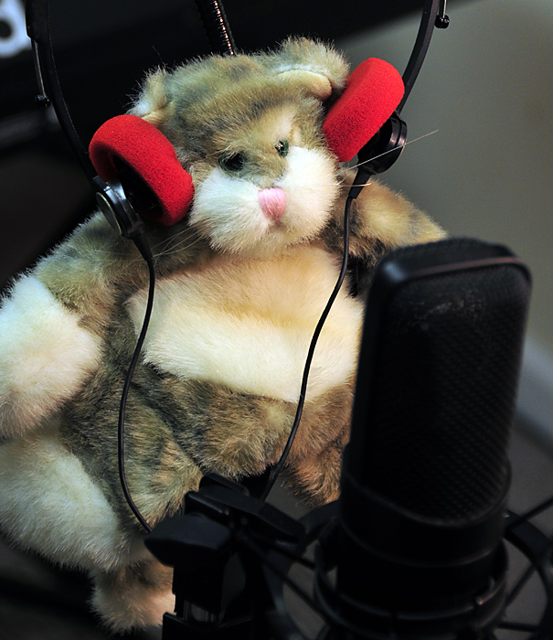 vocals.jpg