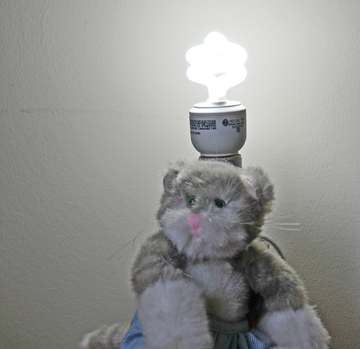 bright-idea.jpg