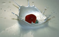 Strawberry II