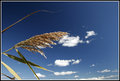 Sky Series 3
