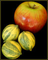 fruit.jpg