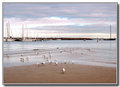 Port-Phillip-Bay-at-dawn.jpg