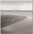 Sepia-bay.jpg