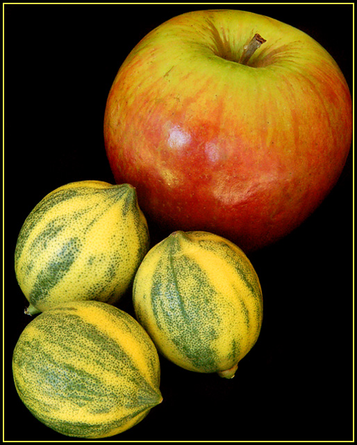 fruit.jpg