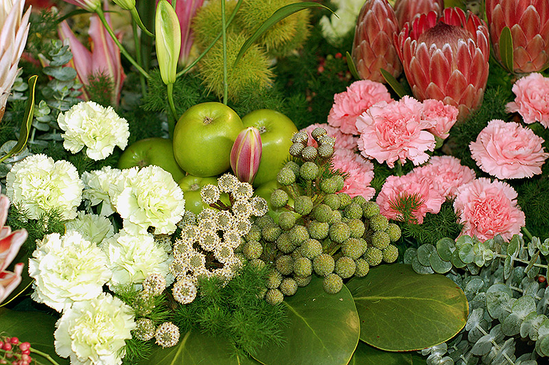 Floral-test.jpg