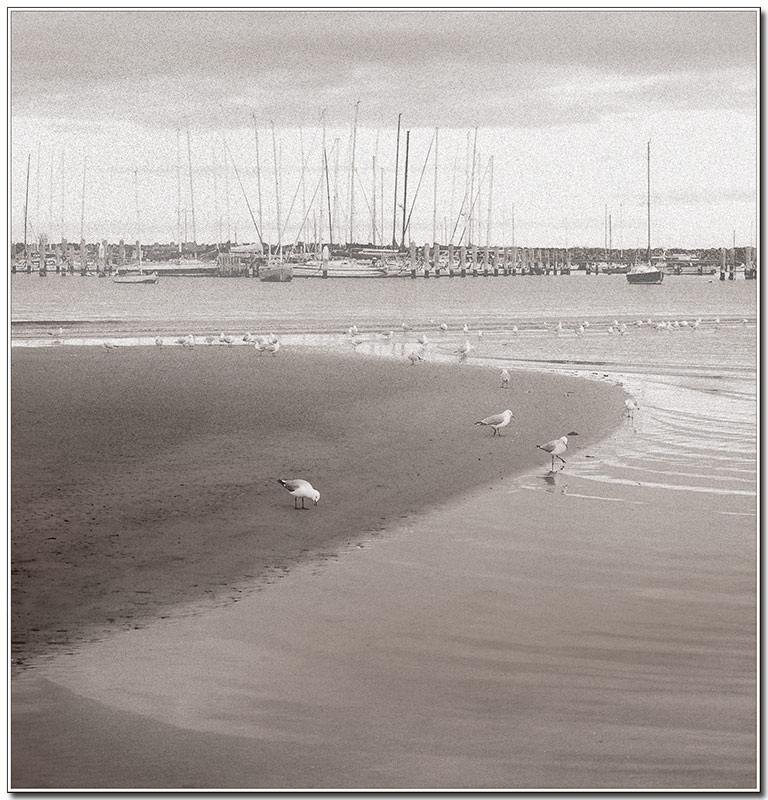 Sepia-bay.jpg