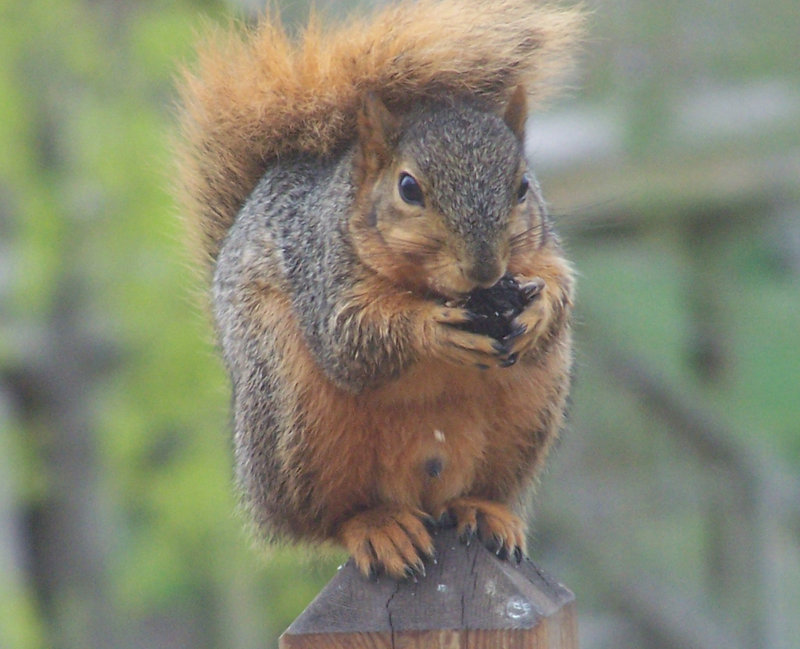 100_0942_edited-1.jpg