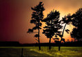 Sunrise.jpg