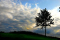 Alone-on-a-Hill.jpg
