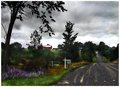 Old-Stone-Road.jpg