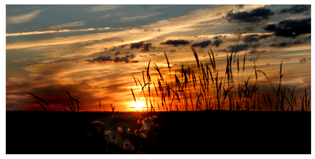Thursday Evening