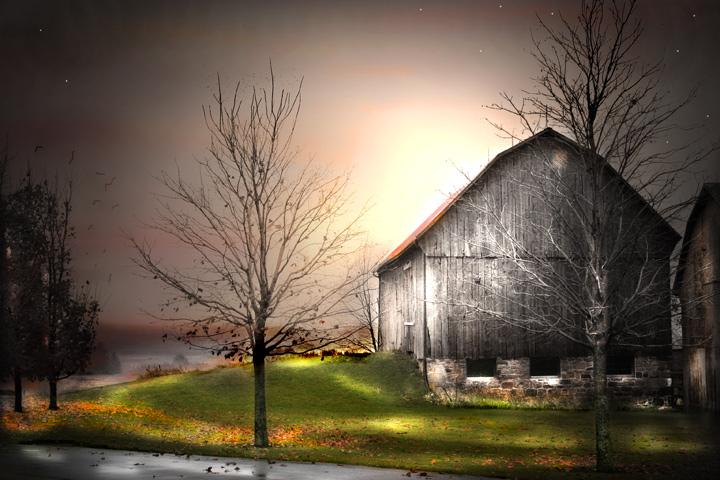 Evening-Shadows.jpg