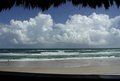A Beautiful View DPC.jpg