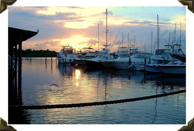 Marina Sunset Wilbur by the Sea FAS (2).jpg