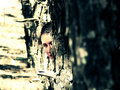 I see you
