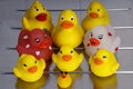 Family picture of Rubber Duckie